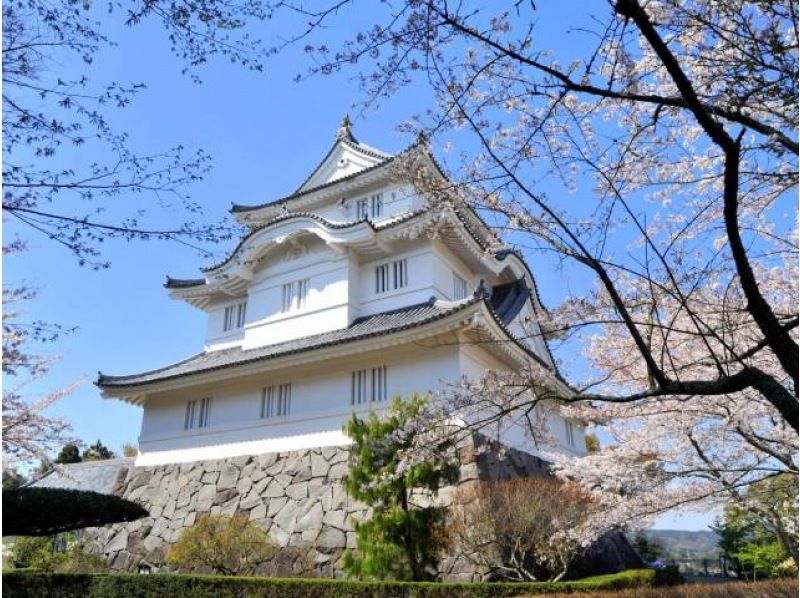 春の訪れ♪菜の花と桜の競演「いすみ鉄道」乗車&大多喜城にて桜鑑賞バスツアー～いすみ名物『伊勢海老』の御膳付き～【029029‐999】の紹介画像