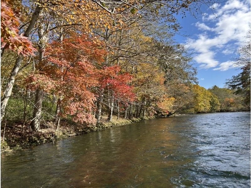 [北海道/千岁川]⭐︎非常稳定的乘船游览（长航线）欢迎家庭！让我们漂浮在清澈的水面上，穿越茂密的森林，开始一场伟大的冒险吧！の紹介画像