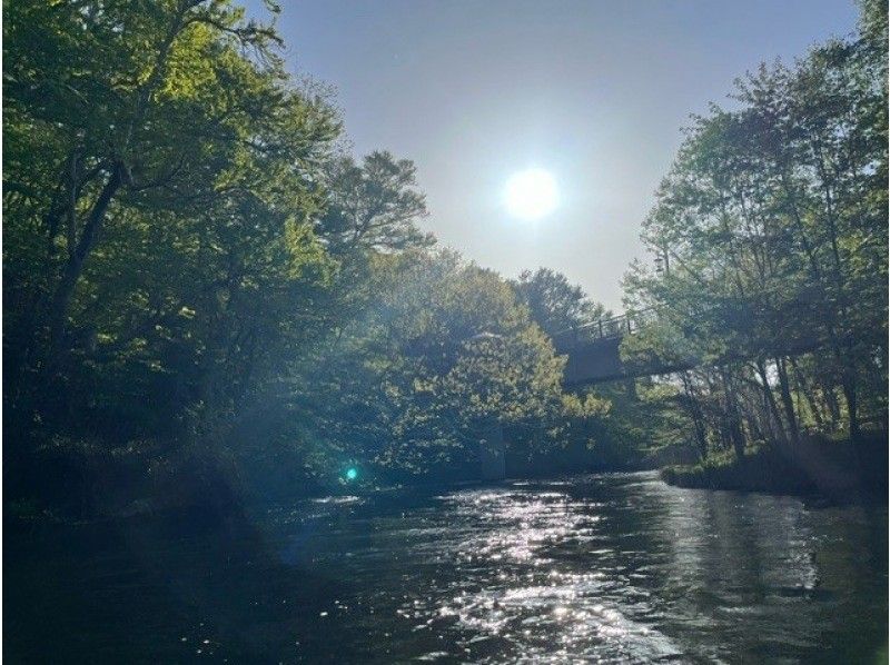 [Hokkaido, Chitose River] ⭐︎ A stable boat tour (long course) Families are welcome! Go on a great adventure while floating on the crystal clear water through the lush forest!の紹介画像