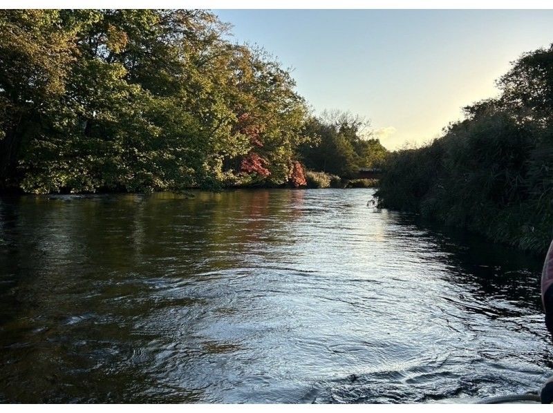 [Hokkaido, Chitose River] ⭐︎ A stable boat tour (long course) Families are welcome! Go on a great adventure while floating on the crystal clear water through the lush forest!の紹介画像