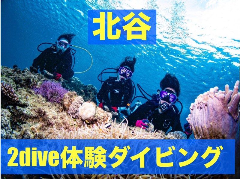 SALE！【北谷・アメリカンビレッジ】サンゴの海！ボート体験ダイビング２dive・動画写真プレゼント！カップル・女性グループの紹介画像