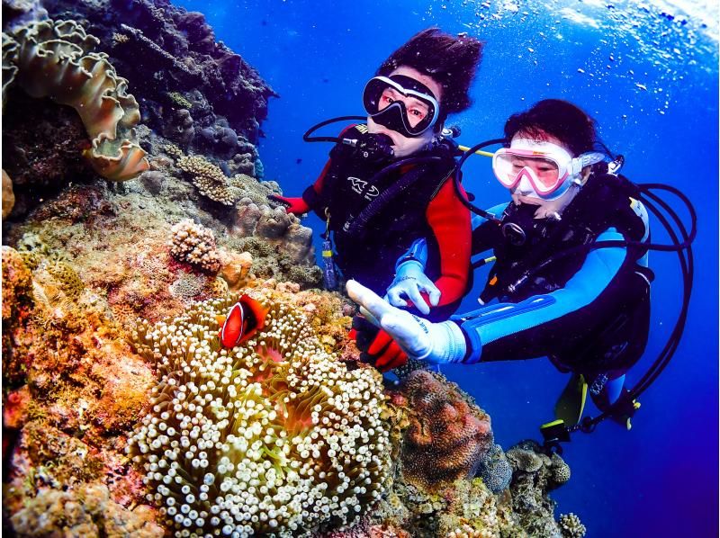 冬は近海ボートがお勧め！【北谷・アメリカンビレッジ】サンゴの海！ボート体験ダイビング２dive・動画写真プレゼント！カップル・女性グループの紹介画像