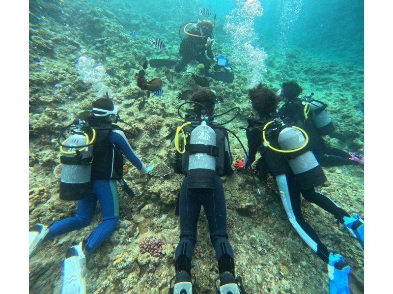 冬は近海ボートがお勧め！【北谷・アメリカンビレッジ】サンゴの海！ボート体験ダイビング２dive・動画写真プレゼント！カップル・女性グループの紹介画像