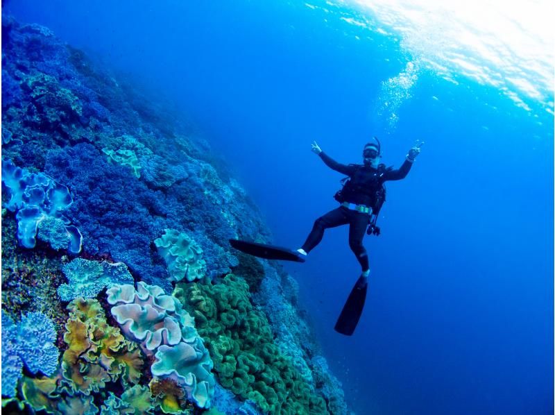 冬は近海ボートがお勧め！【北谷・アメリカンビレッジ】サンゴの海！ボート体験ダイビング２dive・動画写真プレゼント！カップル・女性グループの紹介画像