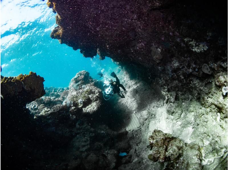 冬は近海ボートがお勧め！【北谷・アメリカンビレッジ】サンゴの海！ボート体験ダイビング２dive・動画写真プレゼント！カップル・女性グループの紹介画像