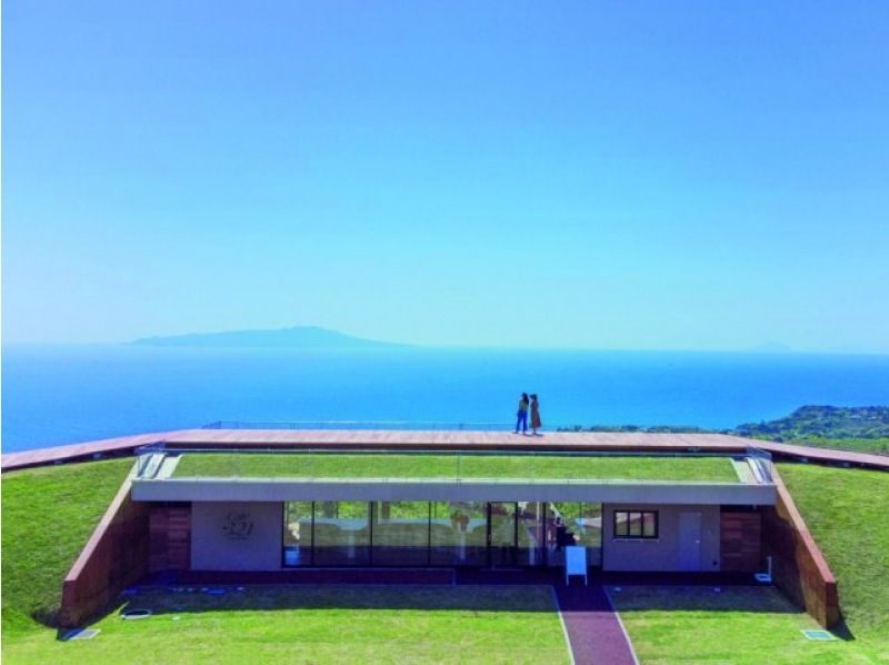 JR特急踊り子号と新幹線こだま号利用で行く河津桜まつりとつばき咲く絶景の小室山バスツアー【029029‐989】の紹介画像