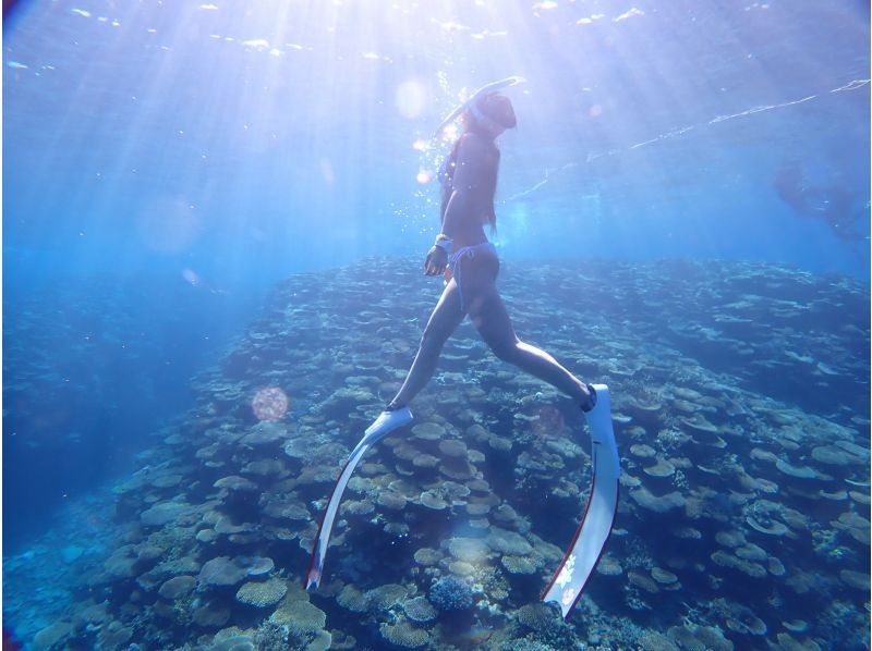 ALOALO LEISURE 石垣の最新写真