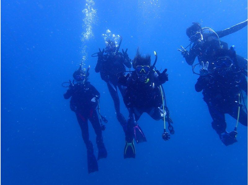 [From Osaka to Wakayama] Early summer opening campaign! Get your diving license in as little as 3 days! All-inclusive course with no additional costs! Join with friendsの紹介画像