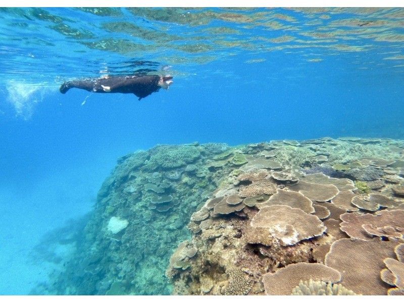 [Northern Okinawa/Nakijin] Enjoy the spectacular views from both SUP and underwater! SUP cruising and snorkeling tourの紹介画像