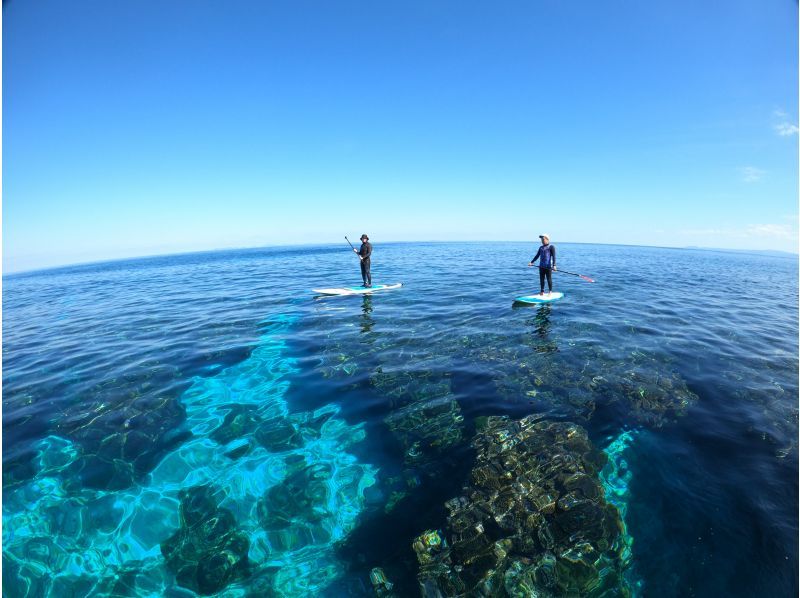 【沖縄・北部／今帰仁】SUPで海を楽しもう♪透明度の高いやんばるの海をSUPクルージングツアー（90分コース）の紹介画像