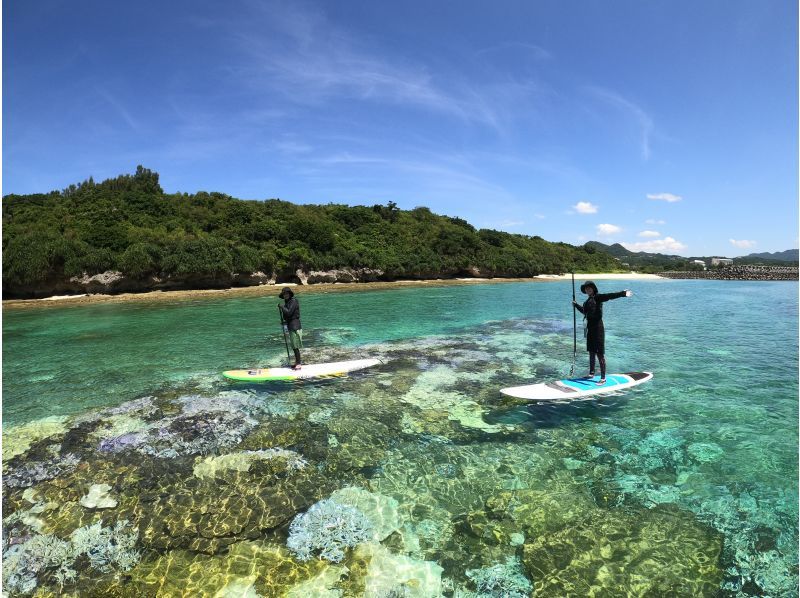 【沖縄・北部／今帰仁】SUPで海を楽しもう♪透明度の高いやんばるの海をSUPクルージングツアー（90分コース）の紹介画像