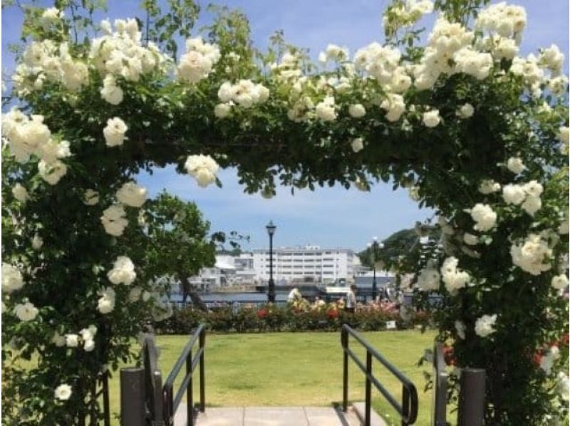 [助成金対象ツアー]横須賀美術館＆ヴェルニー公園の秋バラ鑑賞！ヨコスカ絶景めぐりバスツアー【029029-1338】の紹介画像