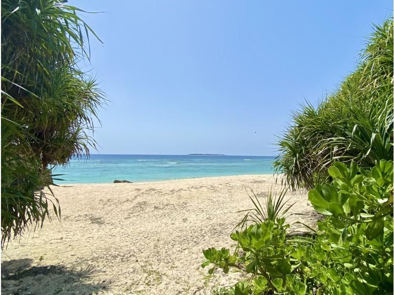 [Okinawa, Uruma City] Miraculous uninhabited island ☆ Banana boat snorkeling tour ☆ Enjoy the untouched private beach!!の紹介画像