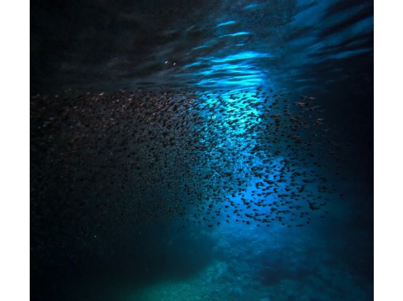 【我們的獨家行程無需額外付費】藍洞浮潛-超輕鬆乘船到達洞穴入口！ ｜の紹介画像