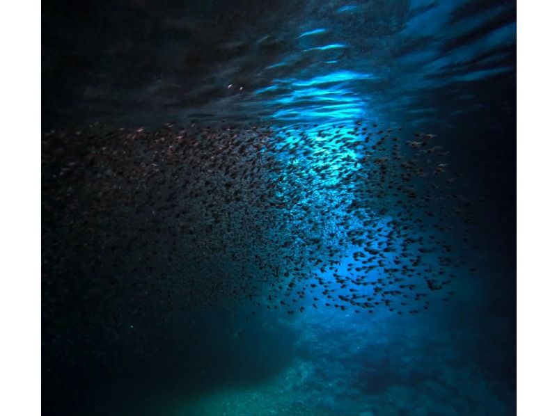 【蓝洞浮潜+透明sup套餐乘船前往洞口附近】GoPro拍照视频【无限拍摄】の紹介画像