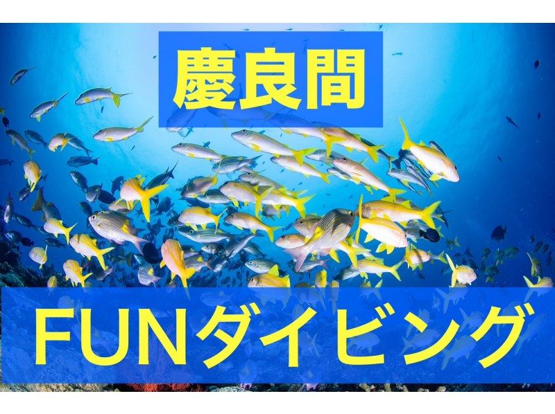 SALE！【慶良間海域】2名以上でお得にバディープラン！FUN3ダイブに器材込み・写真動画プレゼントの紹介画像