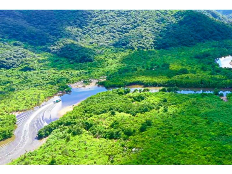 【1番人気の3島めぐり】西表･由布･竹富3島めぐり　竹富島で水牛車観光＜8時間～／昼食付／R-2S＞の紹介画像