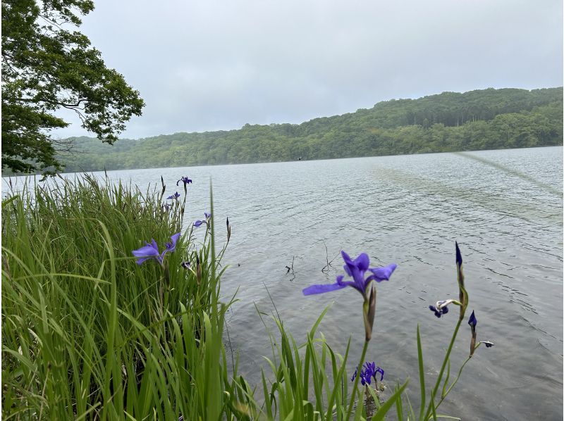 [Hokkaido, Shiraoi Town] Guided canoeing experience on Lake Poroto. Take a leisurely canoe ride around the lake where nature, culture and history blend together!の紹介画像