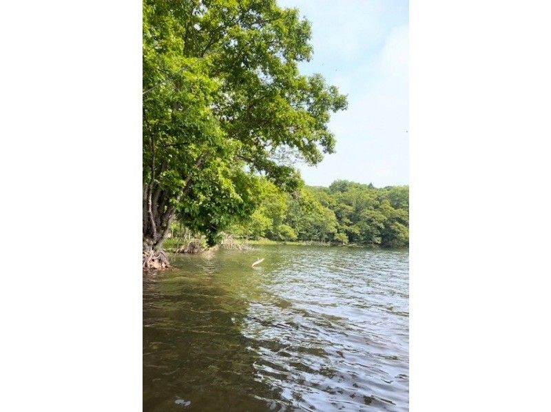 [Hokkaido, Shiraoi Town] Guided canoeing experience on Lake Poroto. Take a leisurely canoe ride around the lake where nature, culture and history blend together!の紹介画像