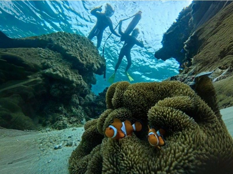 Enjoy a private experience with a small group! Churaumi boat snorkeling tour! (GoPro photo service included)の紹介画像