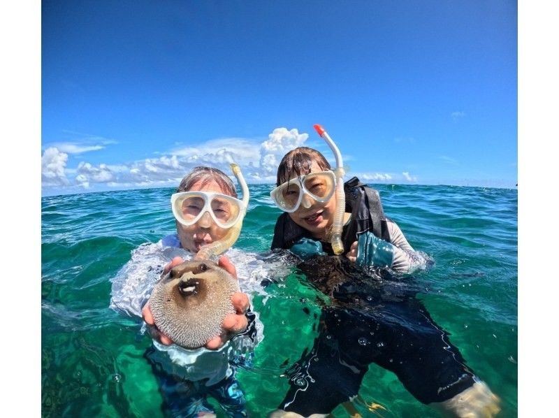 SALE! Enjoy a private experience with a small group! Snorkeling tour "Easy boat ride from Ishigaki Port"! (GoPro photo service included)の紹介画像