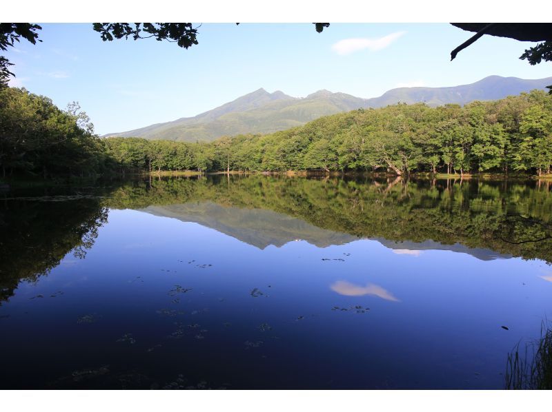 [Hokkaido, Shiretoko] For those who want to enjoy the spectacular scenery of Shiretoko ☆ A magnificent view of the forest, sea, and lake all at once ☆ Trekking around the Shiretoko Five Lakes! Free rental of binoculars, clothing, and bootsの紹介画像