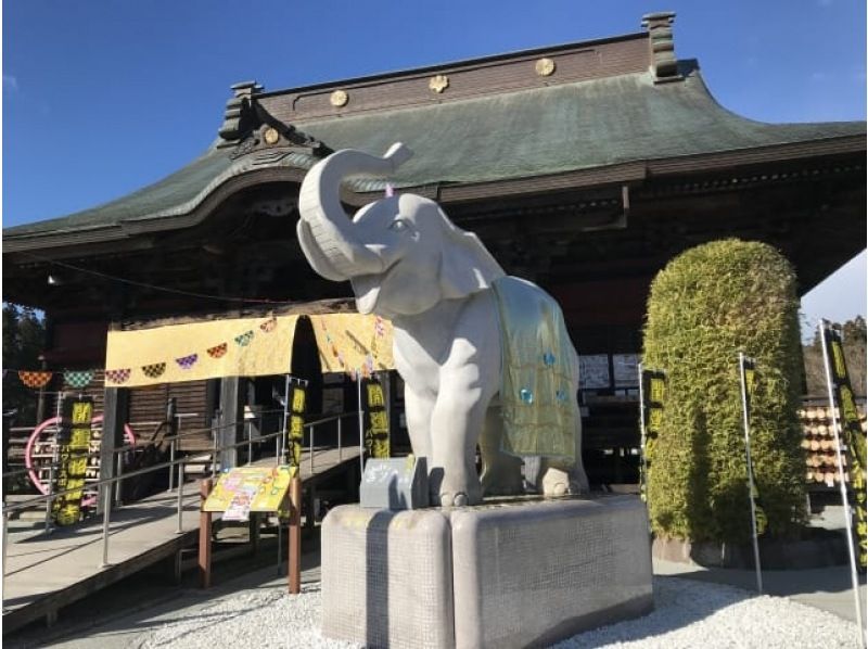 旧スイス大使館「翠州亭」で味わう和ランチ＆山の斜面に咲き乱れる1万株の紫陽花鑑賞バスツアー【029029-1243】の紹介画像