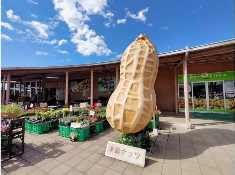 旧スイス大使館「翠州亭」で味わう和ランチ＆山の斜面に咲き乱れる1万株の紫陽花鑑賞バスツアー【029029-1243】の紹介画像