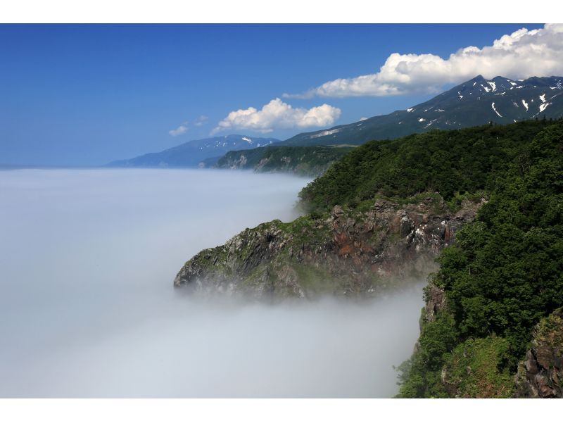 [Hokkaido, Shiretoko] Highly recommended tour with the highest chance of encountering wild animals ☆ Enjoy the great outdoors ☆ Trekking through Shiretoko virgin forests and cliffs with spectacular views! Free rental of binoculars, clothing, and bootsの紹介画像