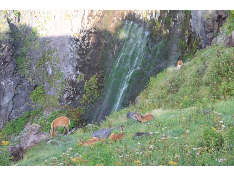 [Hokkaido, Shiretoko] Recommended for first timers ☆ One of the Eight Scenic Views of Shiretoko ☆ Furepe Falls Nature Walk! Binoculars, clothing and boots are free to rent. You can participate empty-handed!の紹介画像