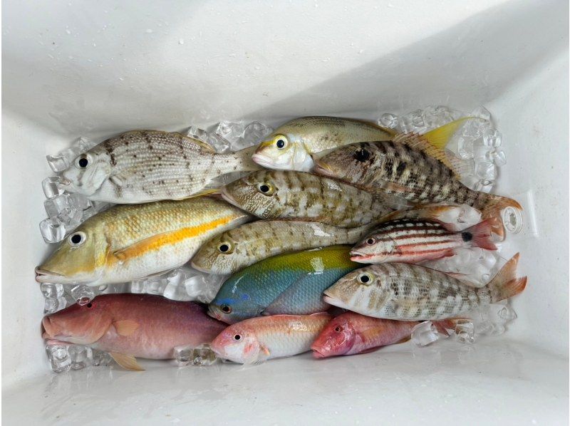 【以优质鱼和大量渔获为目标】“空手而来，当天预约”“冲绳石垣岛半日五鱼垂钓体验”欢迎初学者、家庭、情侣！の紹介画像