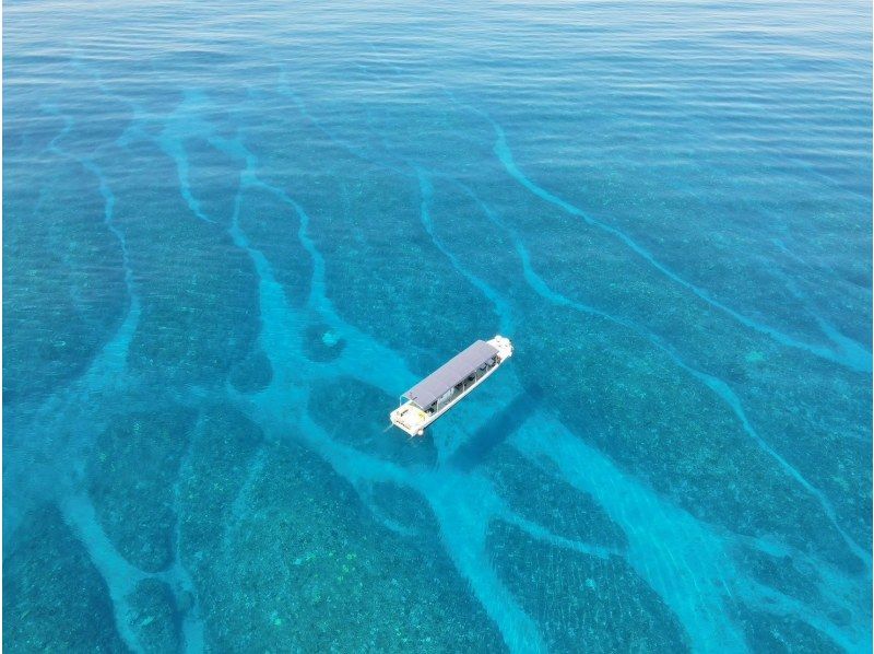【狙うは高級魚＆大物】 ”手ぶら＆当日予約OK”「沖縄・石垣島　半日五目釣り体験」初心者・ファミリー・カップル大歓迎！の紹介画像