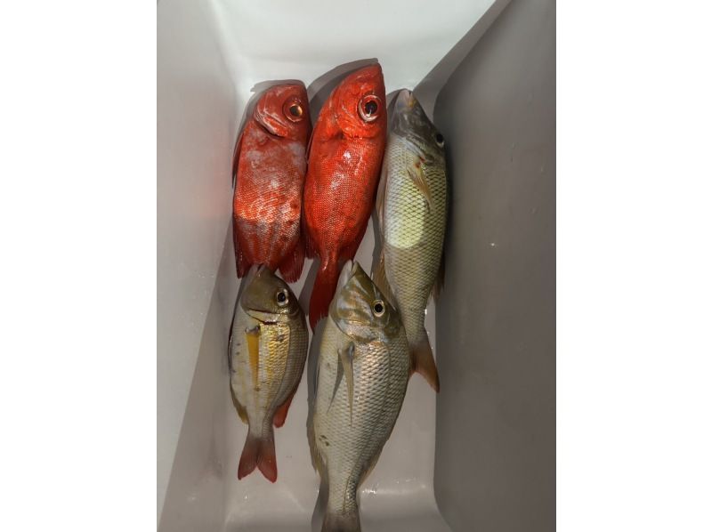 NEW！！！【狙うは高級魚＆大物】”手ぶら＆当日予約OK”船で行く夜釣りツアー♪の紹介画像