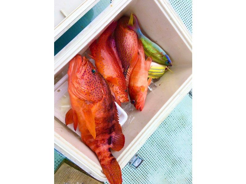 【狙うは高級魚＆大物】”手ぶら＆当日予約OK"カップルに大人気！サンセットフィッシングの紹介画像