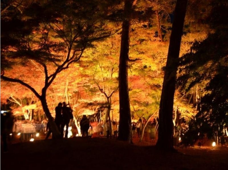 「西武 旅するレストラン52席の至福」で贅沢ブランチ＆紅葉の「月の石もみじ公園」ライトアップ鑑賞バスツアー【029029-1314】の紹介画像