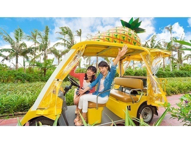 [Great summer campaign] Okinawa Churaumi Aquarium ticket included and Kouri Island and Nago Pineapple Park bus tour (Course A)の紹介画像