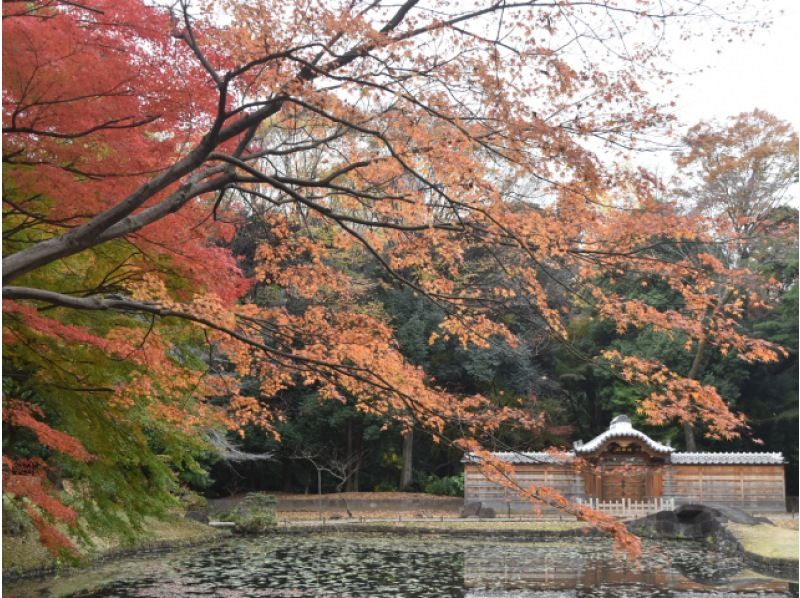 紅葉彩る大名庭園＆黄金のイチョウ並木と池田山公園ライトアップ巡りバスツアー　～ホテルランチビュッフェ付～【029029‐962】の紹介画像