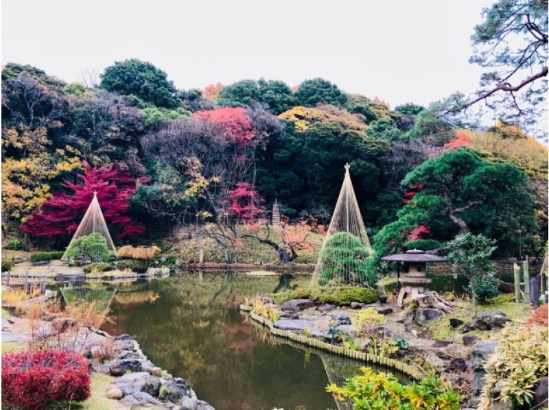 紅葉彩る大名庭園＆黄金のイチョウ並木と池田山公園ライトアップ巡りバスツアー　～ホテルランチビュッフェ付～【029029‐962】の紹介画像