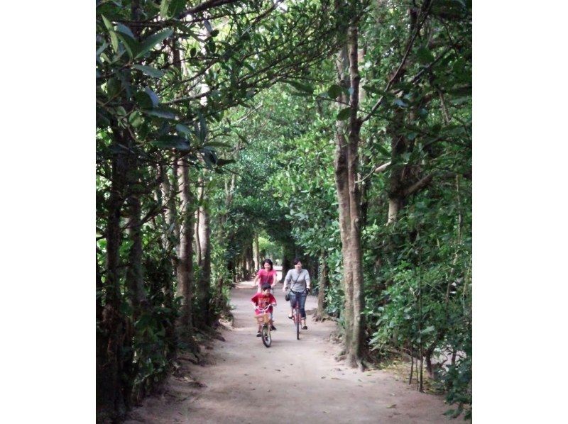 April 1st ~ [Departing from Naha/Chatan, Okinawa] Glass boat and Bise Fukugi tree lined road, Churaumi Aquarium, American Village (Course B)の紹介画像