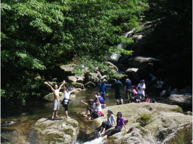 【鹿児島・屋久島】白谷雲水峡〜半日苔むす森トレッキング+安房川リバーカヤックのコンボツアーの紹介画像