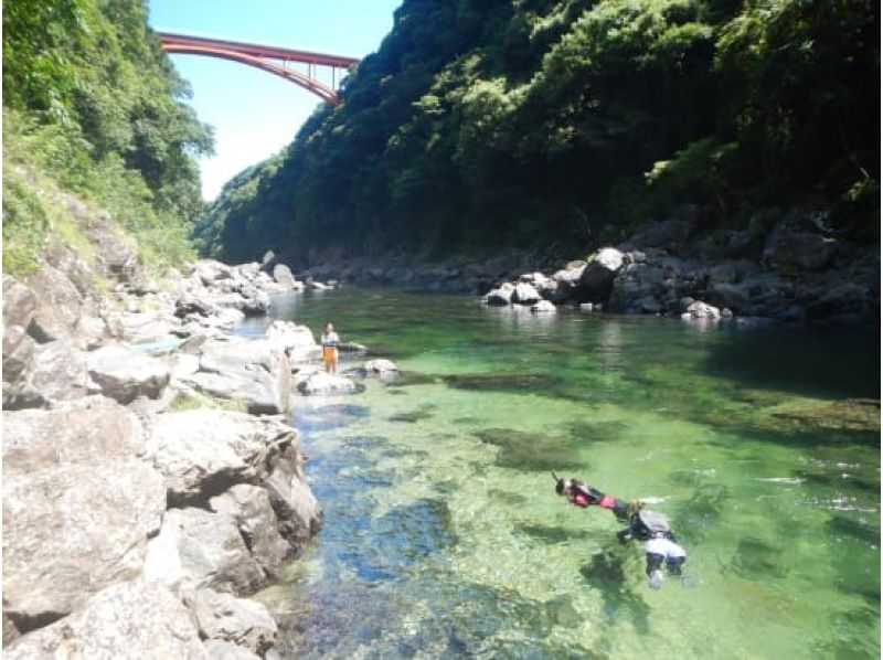 【鹿児島・屋久島】白谷雲水峡〜半日苔むす森トレッキング+安房川リバーカヤックのコンボツアーの紹介画像