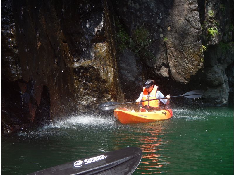 【鹿児島・屋久島】白谷雲水峡〜半日苔むす森トレッキング+安房川リバーカヤックのコンボツアーの紹介画像