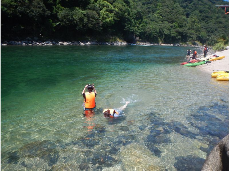 【鹿児島・屋久島】白谷雲水峡〜半日苔むす森トレッキング+安房川リバーカヤックのコンボツアーの紹介画像
