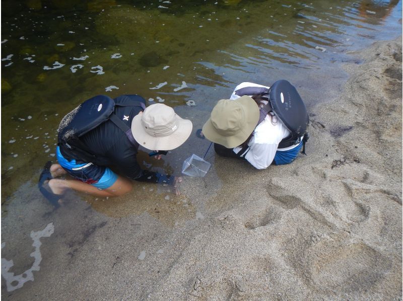 【鹿児島・屋久島】白谷雲水峡〜半日苔むす森トレッキング+安房川リバーカヤックのコンボツアーの紹介画像