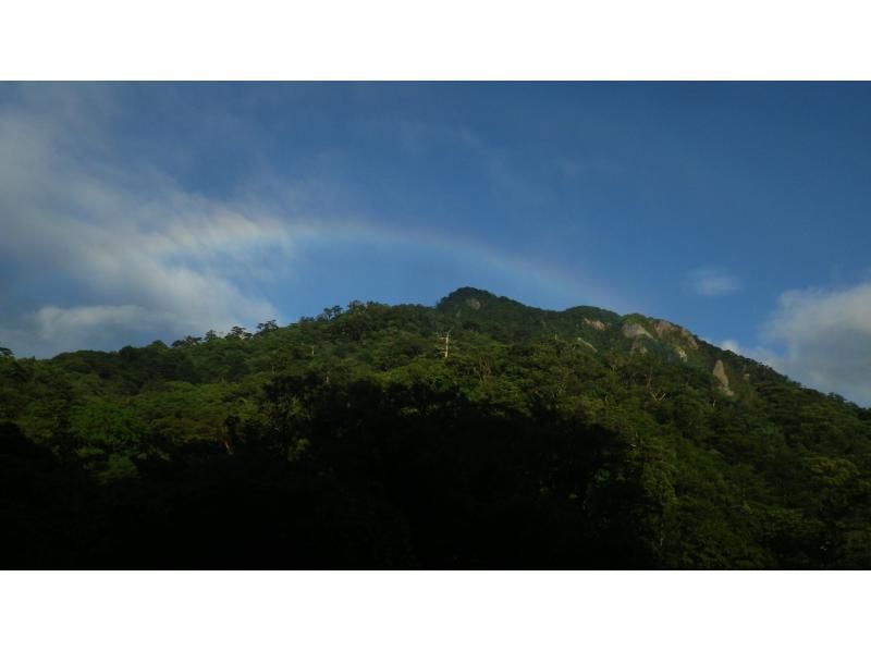 【鹿児島・屋久島】白谷雲水峡〜半日苔むす森トレッキング+安房川リバーカヤックのコンボツアーの紹介画像