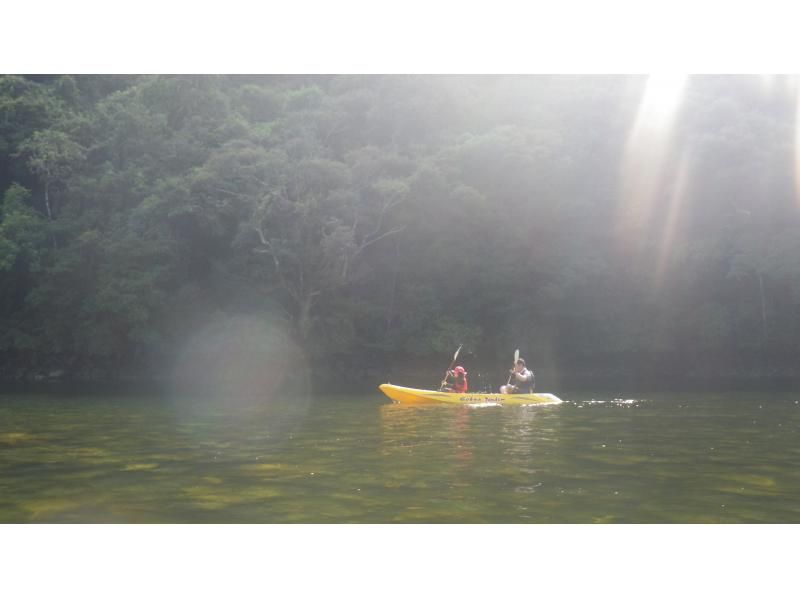【鹿児島・屋久島】白谷雲水峡〜半日苔むす森トレッキング+安房川リバーカヤックのコンボツアーの紹介画像