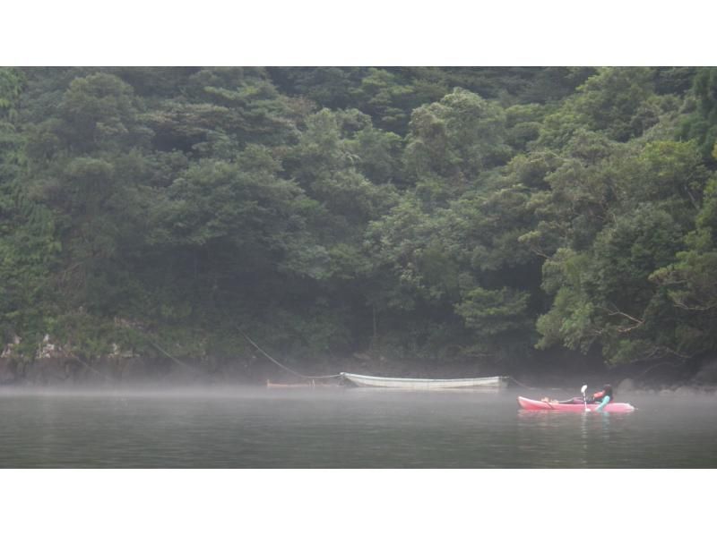 【鹿児島・屋久島】白谷雲水峡〜半日苔むす森トレッキング+安房川リバーカヤックのコンボツアーの紹介画像
