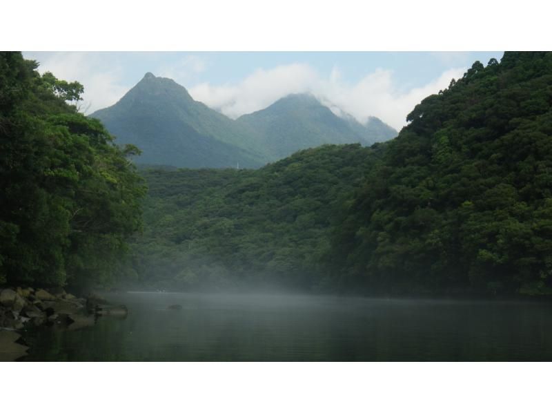 【鹿児島・屋久島】白谷雲水峡〜半日苔むす森トレッキング+安房川リバーカヤックのコンボツアーの紹介画像