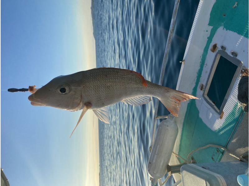 SALE! [Ishigaki Island Private Boat] Limited plan for solo travelers! Choose freely! Fishing + Snorkeling All-you-can-play tour / You can do as much as you want within the time limit⭕️の紹介画像