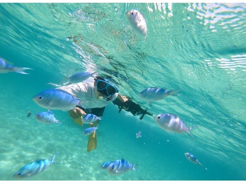 SALE! [Ishigaki Island Private Boat] Limited plan for solo travelers! Choose freely! Fishing + Snorkeling All-you-can-play tour / You can do as much as you want within the time limit⭕️の紹介画像